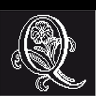 Q Initial