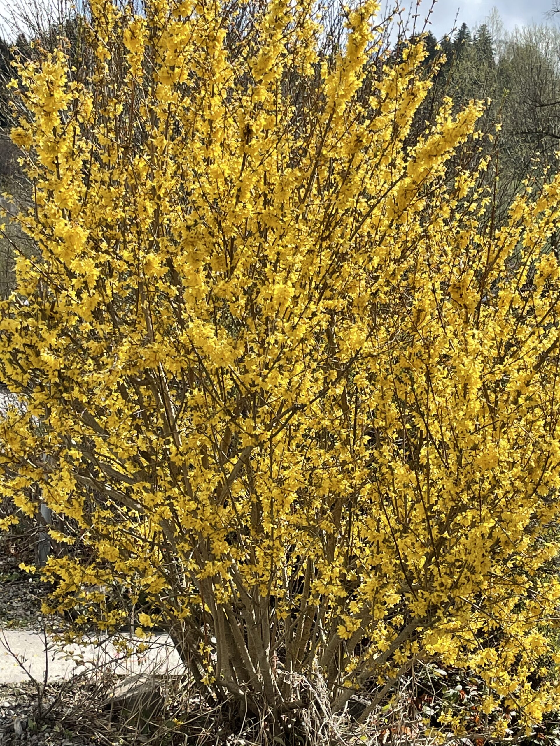 Frühling 2022