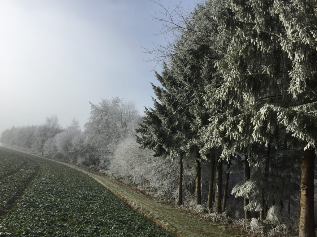 Winterstimmung