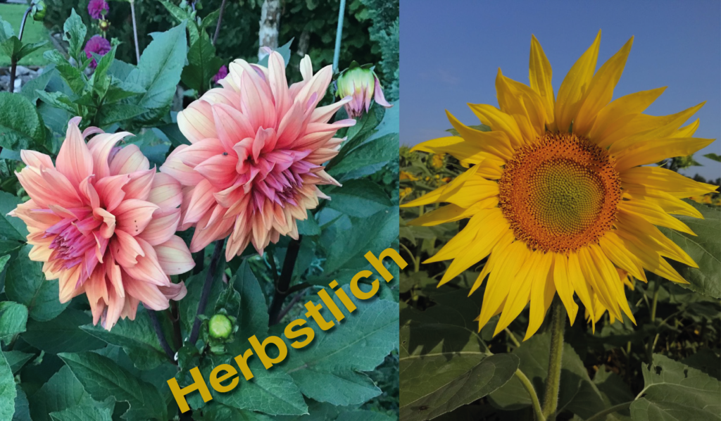 herbstlich Startbild von laengline.ch